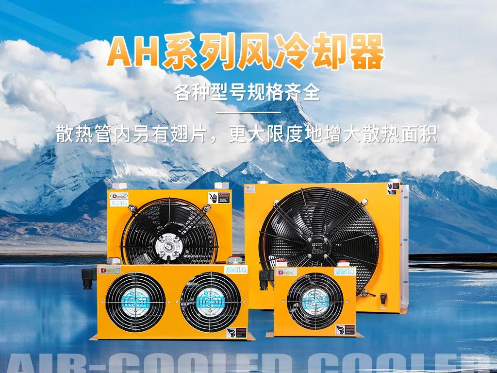 1634811238840249.jpg 2.jpg